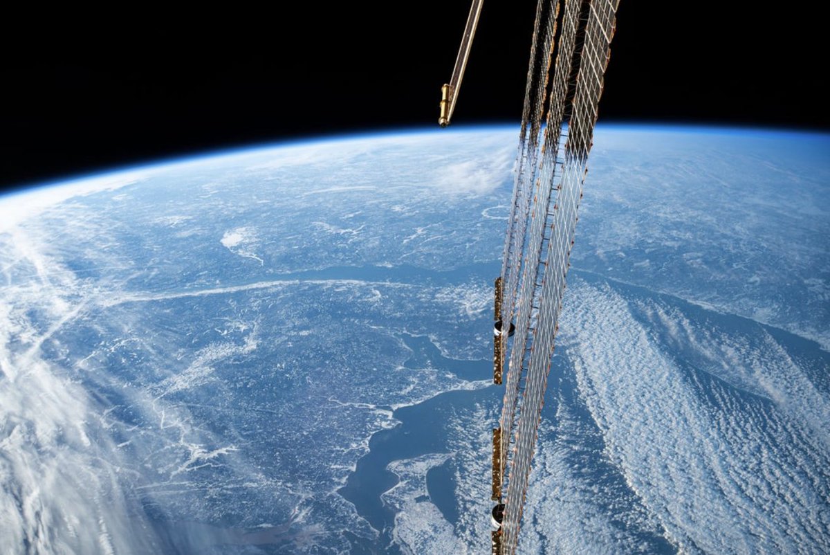 Michael L-A tweet media