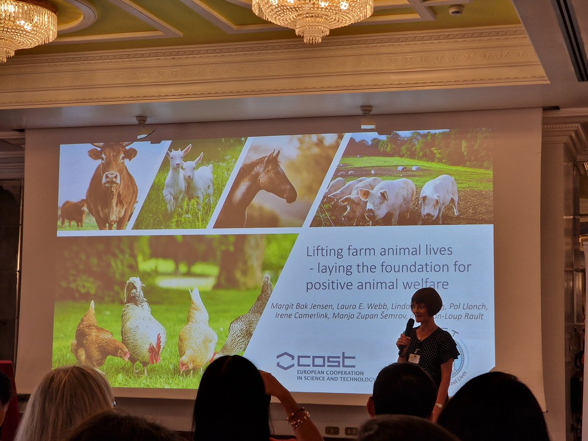 Mette S. Herskin (@herskinmette) on Twitter photo The last session of <a href="/WAFL2024/">WAFL2024</a> of today is kicked off by Margit Bak Jensen from <a href="/BSW_anivet/">Animal behaviour, stress and welfare - AU</a> talking about 'positive animal welfare' and what this term means. #WAFL2024 <a href="/LIFTCostAction/">COST Action - Positive animal welfare (LIFT)</a> The last session of <a href="/WAFL2024/">WAFL2024</a> of today is kicked off by Margit Bak Jensen from <a href="/BSW_anivet/">Animal behaviour, stress and welfare - AU</a> talking about 'positive animal welfare' and what this term means. #WAFL2024 <a href="/LIFTCostAction/">COST Action - Positive animal welfare (LIFT)</a>