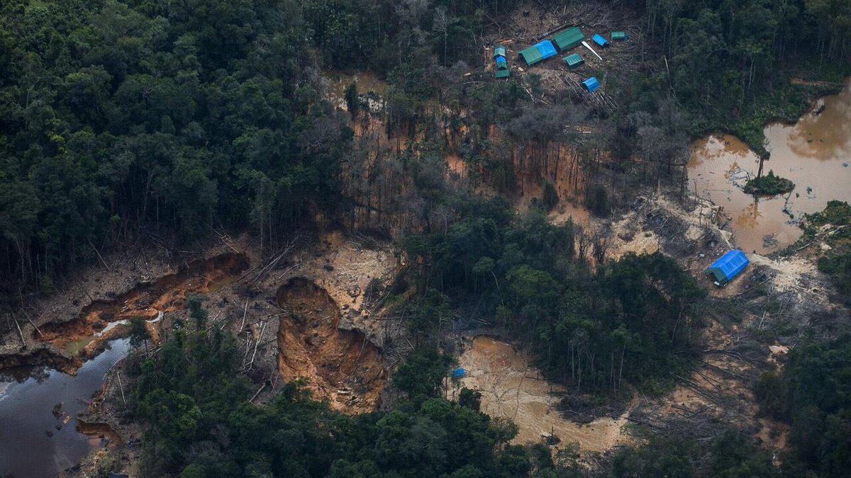 terezandrade's tweet photo. Quem deve fiscalizar o comércio é o BC. O político campos neto se omite
“Cinismo histórico': enquanto prega sustentabilidade, União Europeia compra ouro ilegal do🇧🇷
Em sua maioria, o minério comprado p países da UE é oriundo do Amazonas, Pará e São Paulo(q nem tem mineração) https://t.co/hmi6rf9phC
