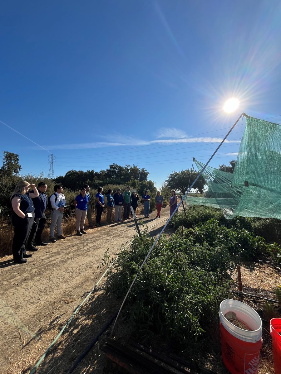 USDA Ag Mktg Service tweet media