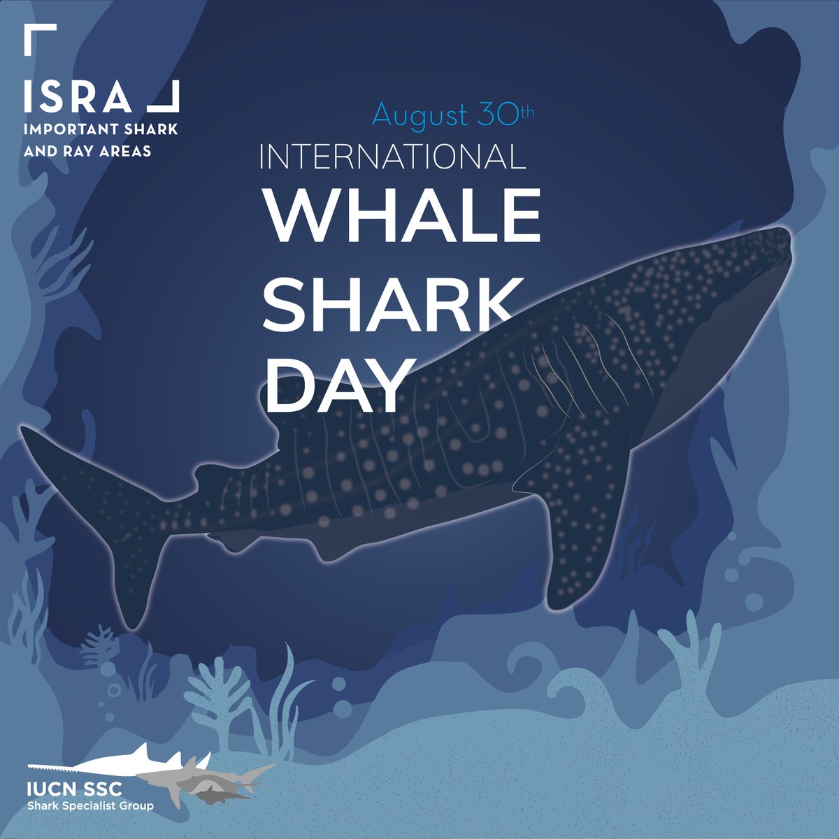 IUCN SSC Shark Specialist Group (@iucnshark) on Twitter photo Happy #InternationalWhaleSharkDay from the IUCN Species Survival Commission Shark Specialist Group!
Whale sharks are assessed as Endangered by the IUCN Red List of Threatened Species <a href="/IUCNRedList/">IUCN Red List</a> Learn more about the threats they face here: iucnredlist.org/species/19488/… Happy #InternationalWhaleSharkDay from the IUCN Species Survival Commission Shark Specialist Group!
Whale sharks are assessed as Endangered by the IUCN Red List of Threatened Species <a href="/IUCNRedList/">IUCN Red List</a> Learn more about the threats they face here: iucnredlist.org/species/19488/…