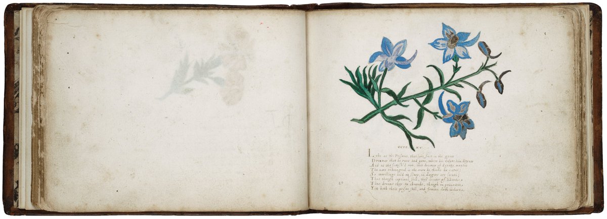 Esther Inglis died #OnThisDay 400 years ago, 30th August 1624. 

Marking this anniversary, a choral concert will take place this evening in a fifteenth-century Kirk in Leith, where Inglis herself lived at the very end of her life 🪻

Do join us at 7.30pm! eventbrite.co.uk/e/in-my-makers…