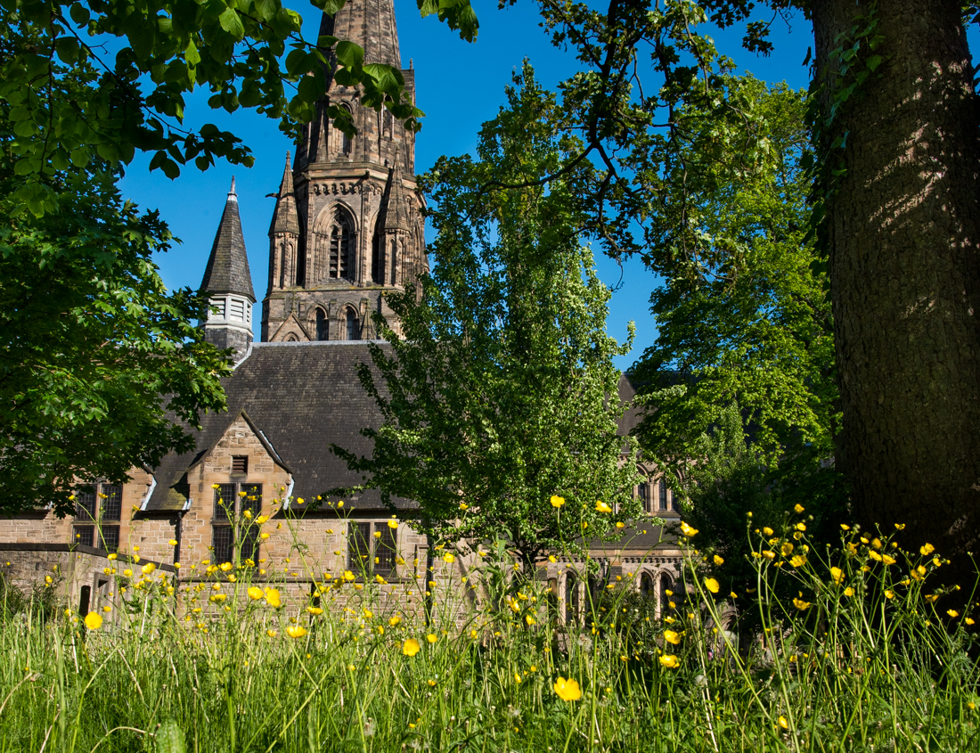 St Mary's Cathedral Weekly Notices - Sunday 1st September - mailchi.mp/b3f8509ced52/c…
