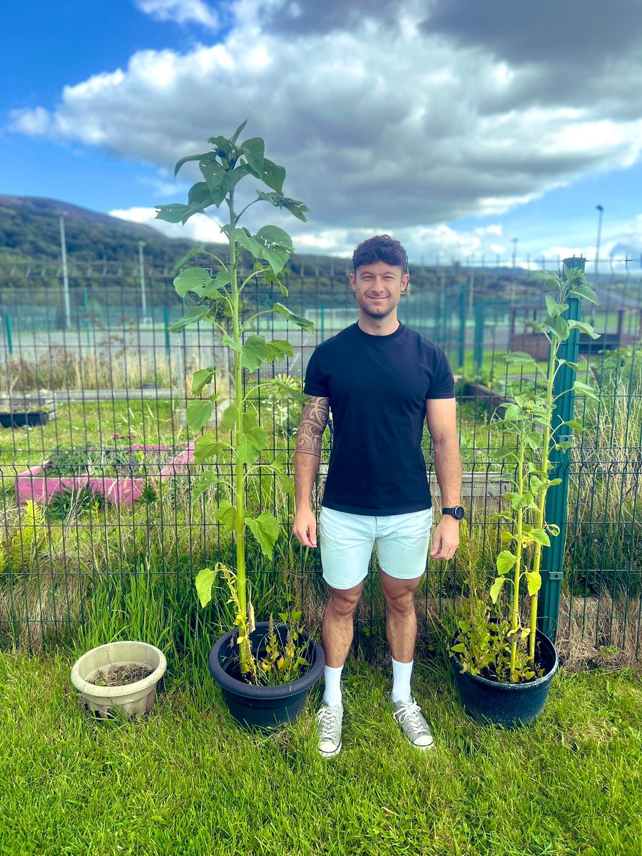 MissPPearson's tweet photo. Entries dropped off to @ArtSwansea for the βSwanseaβs Got Textile Talentβ competition π was also great to see how our @PrincesTrust sunflowers have grown over the summer βοΈπ Used Jason for height reference π @MaestegSchool #Textiles #PrincesTrust https://t.co/kQQycZEJ3D