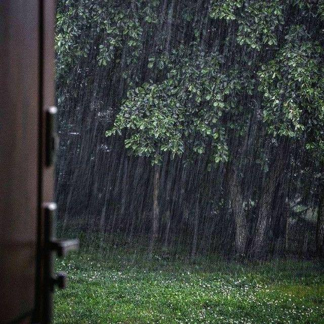 artindetails's tweet photo. — the smell of rain https://t.co/CQU2UPdI4f