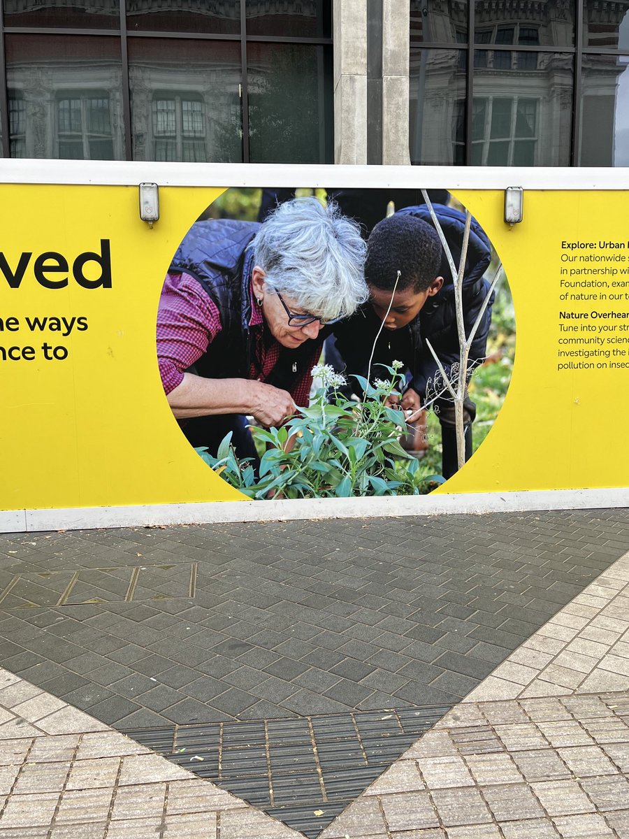 Fiona McWilliams tweet media