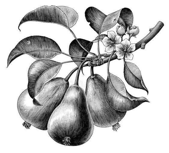 Robert Boucheron tweet media