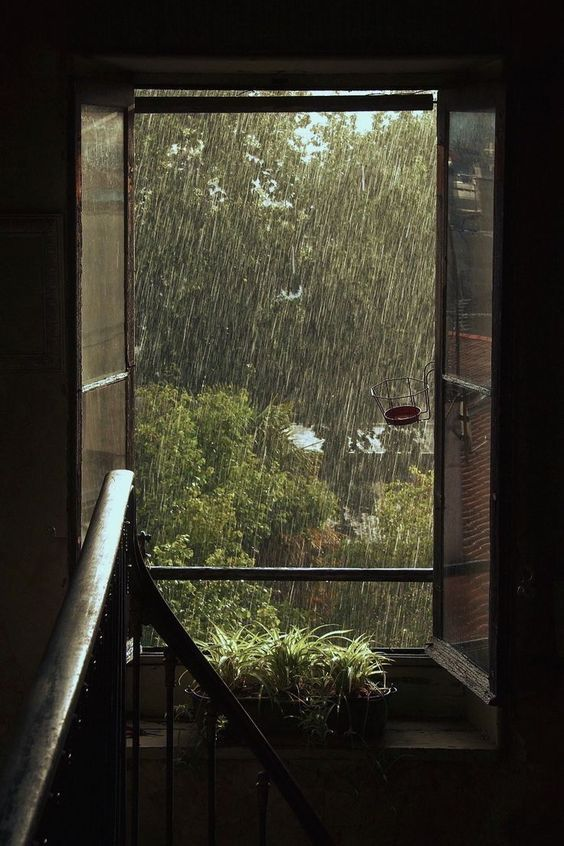 — the solitude rain brings.