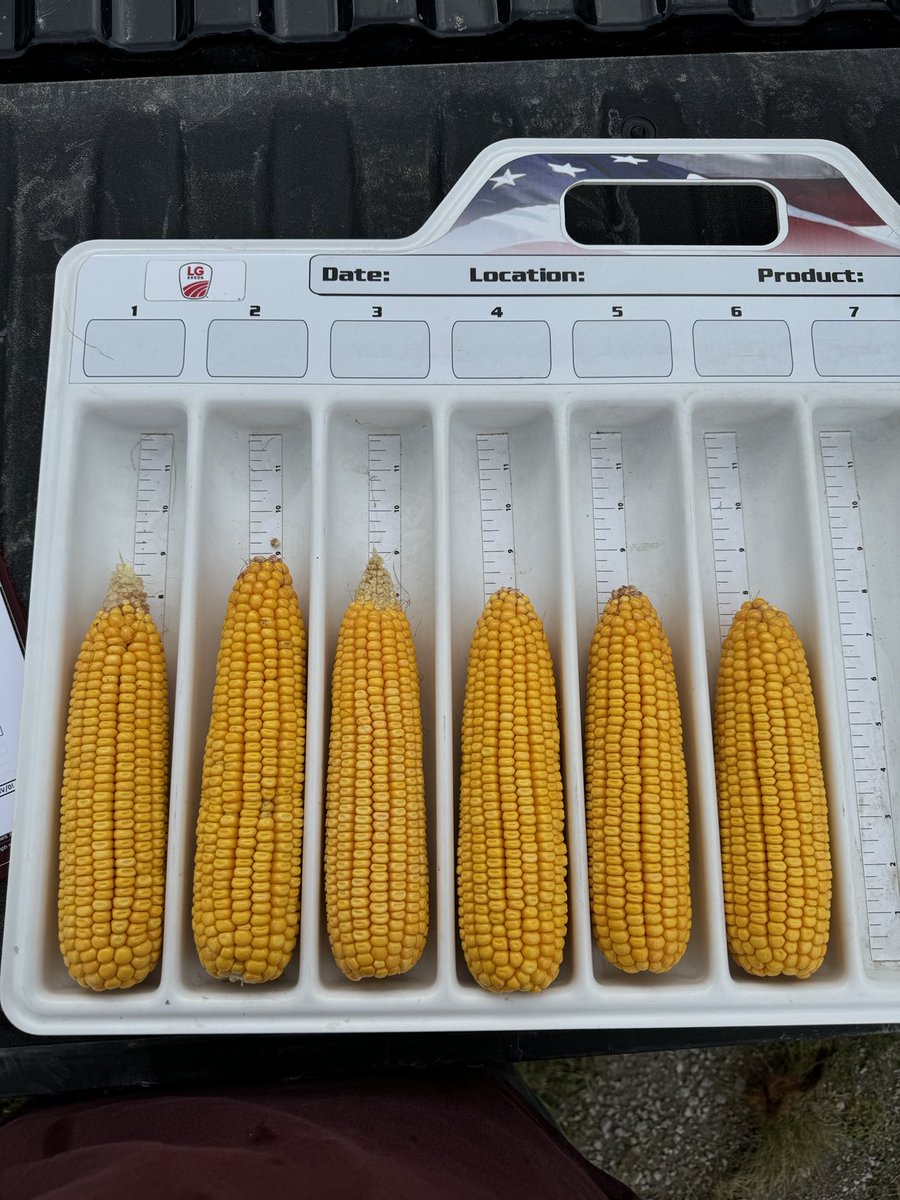 bryluers's tweet photo. Stop #3 of the ⁦@LGSeeds⁩ crop touris in Henry county. This field looks really solid and the yield estimate came in at 215.5 bu/acre. https://t.co/xg1p0HZ7cl