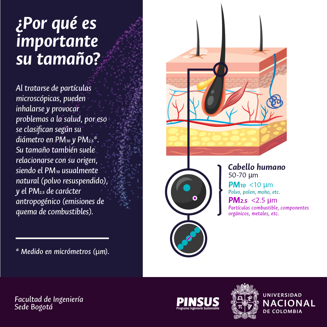 PinsusFIUN's tweet photo. ¿Has escuchado sobre el material particulado? ¡Aquí te explicamos qué es y por qué es un importante indicador de la calidad del medioambiente! https://t.co/OjlOUkedyR