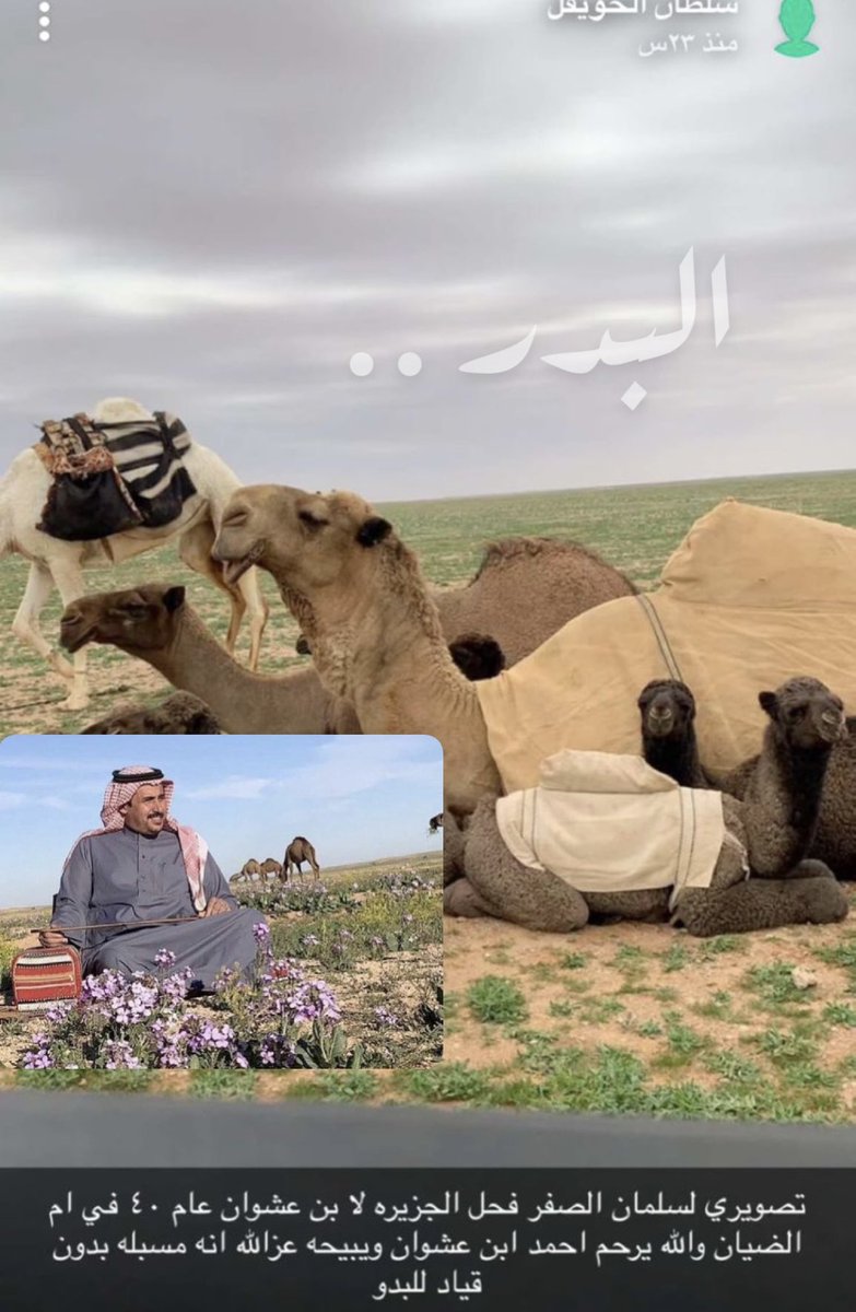 عاشق الوضحا .. al Bader 🅱️ tweet media