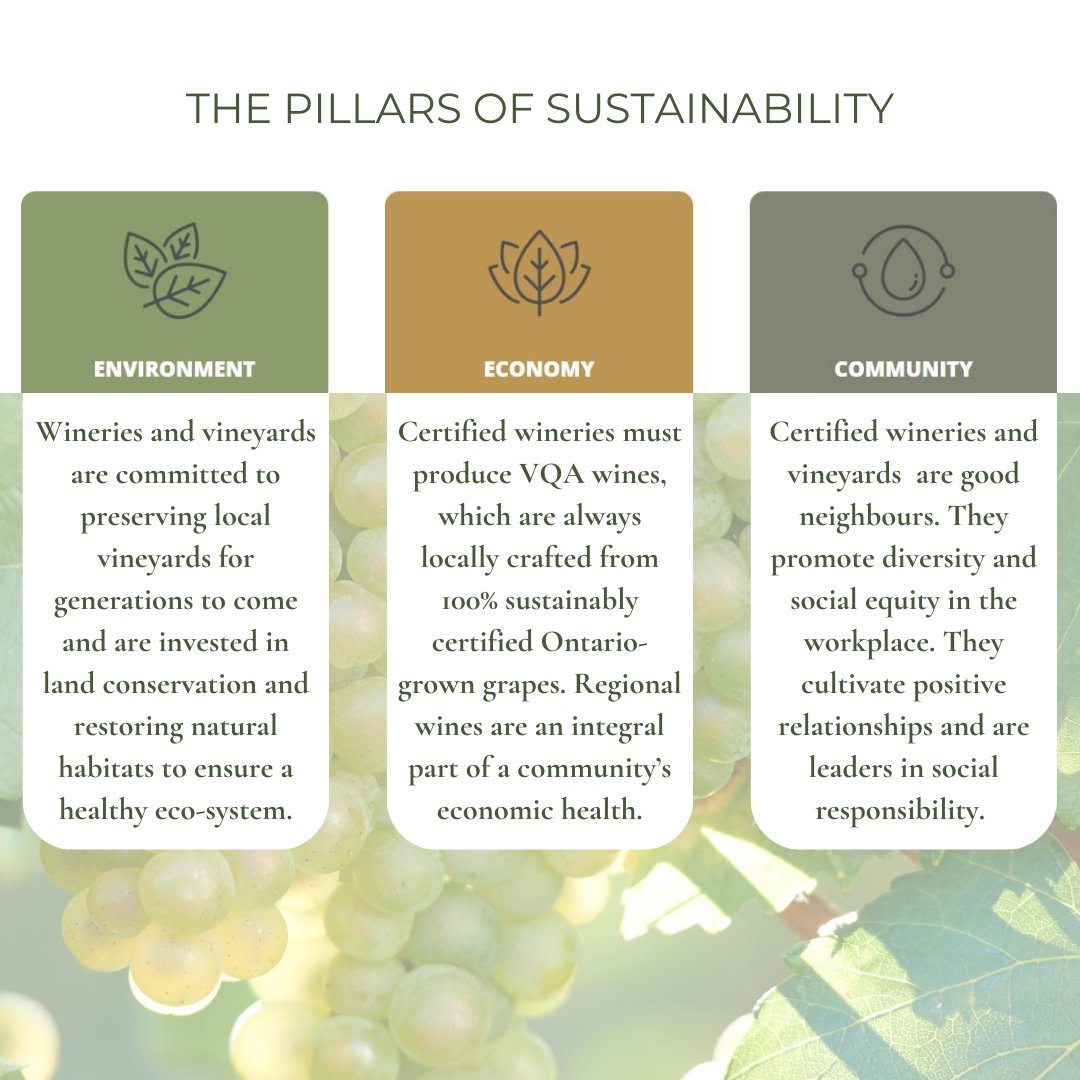 It's been awhile but we are back and thought we would share our Sustainability Pillars as a reminder; this is what Sustainable Winegrowing Ontario supports!
