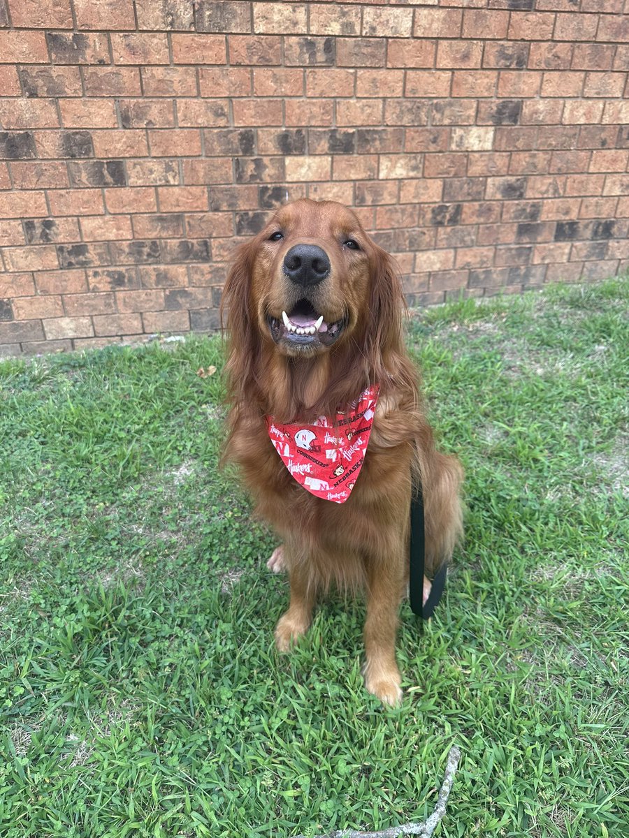 Husker Fridays are the best Fridays! #GBR