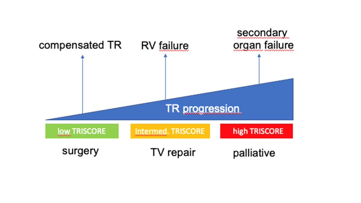#Tricuspid valve trilogy: between risks and timing for surgery released at #ESCCongress and just published in #EHJ👉 bit.ly/3MrGQ3G

<a href="/ehj_ed/">EHJ Editor-in-Chief</a> <a href="/Can_GoTe/">Can Gollmann-Tepeköylü</a>