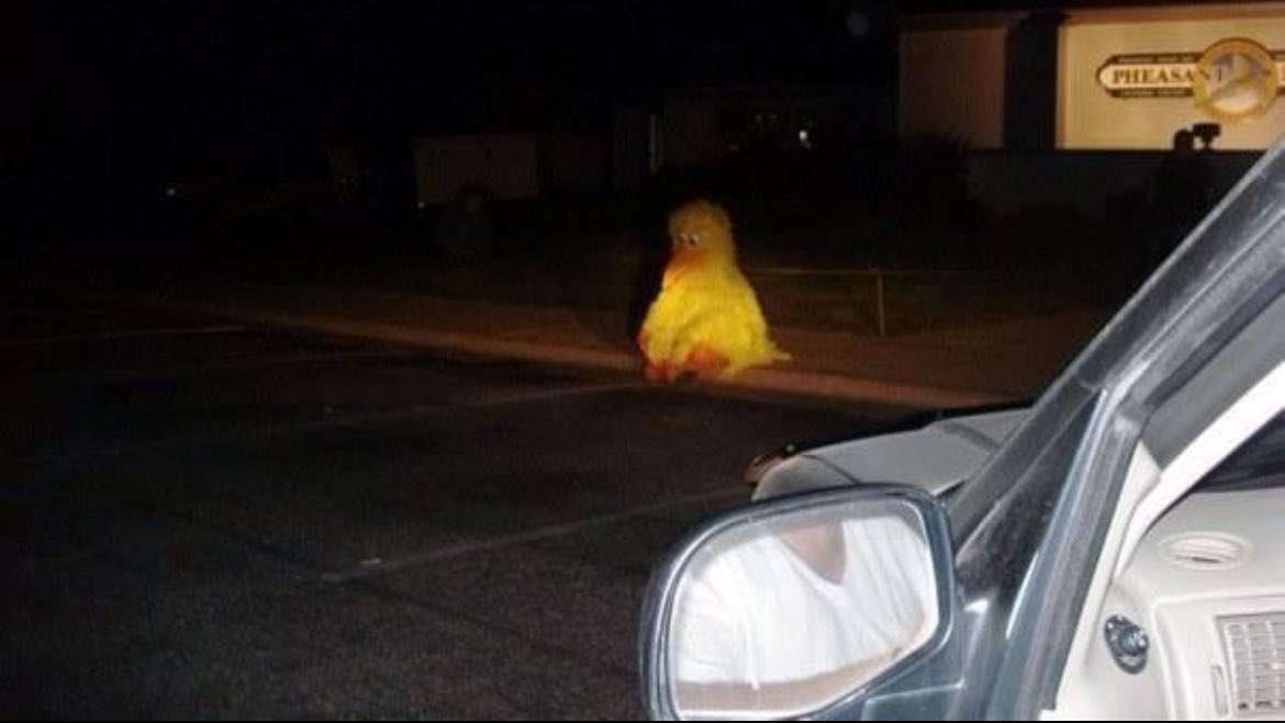 VlassicClassic tweet media