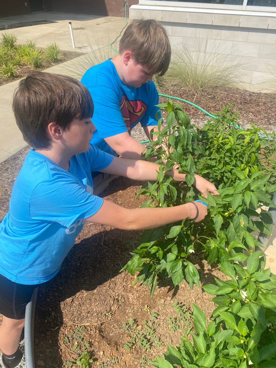 Partnership Middle School tweet media