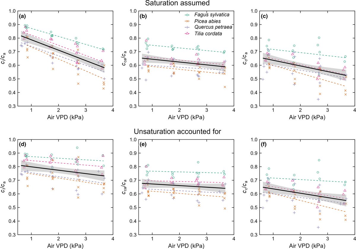 New Phytologist tweet media