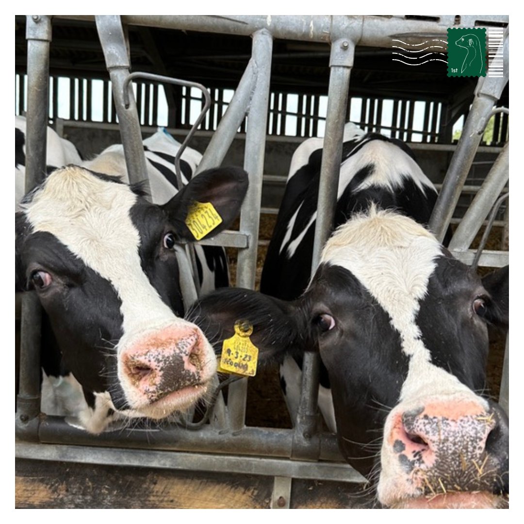 Askham Bryan College tweet media