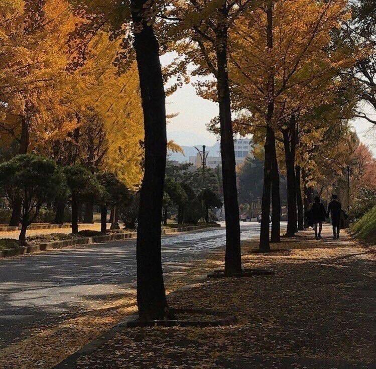 artindetails's tweet photo. — peaceful autumn https://t.co/M7OVqUlWMU