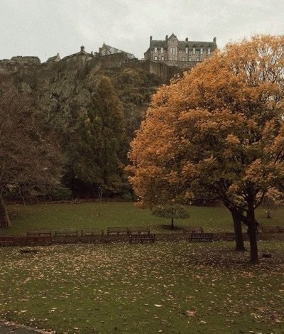 artindetails's tweet photo. — peaceful autumn https://t.co/M7OVqUlWMU