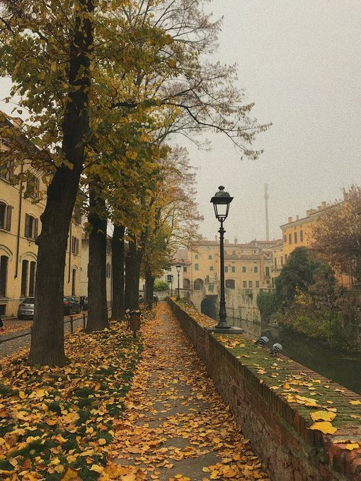 — peaceful autumn