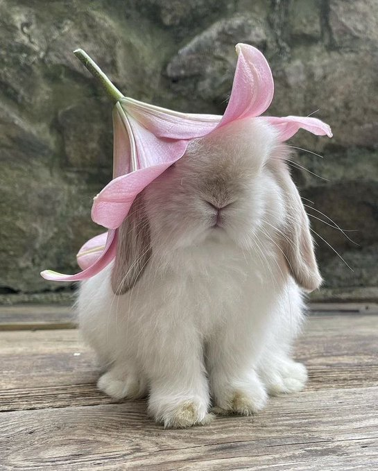 artindetails's tweet photo. flower hat https://t.co/QjRPR7faKY