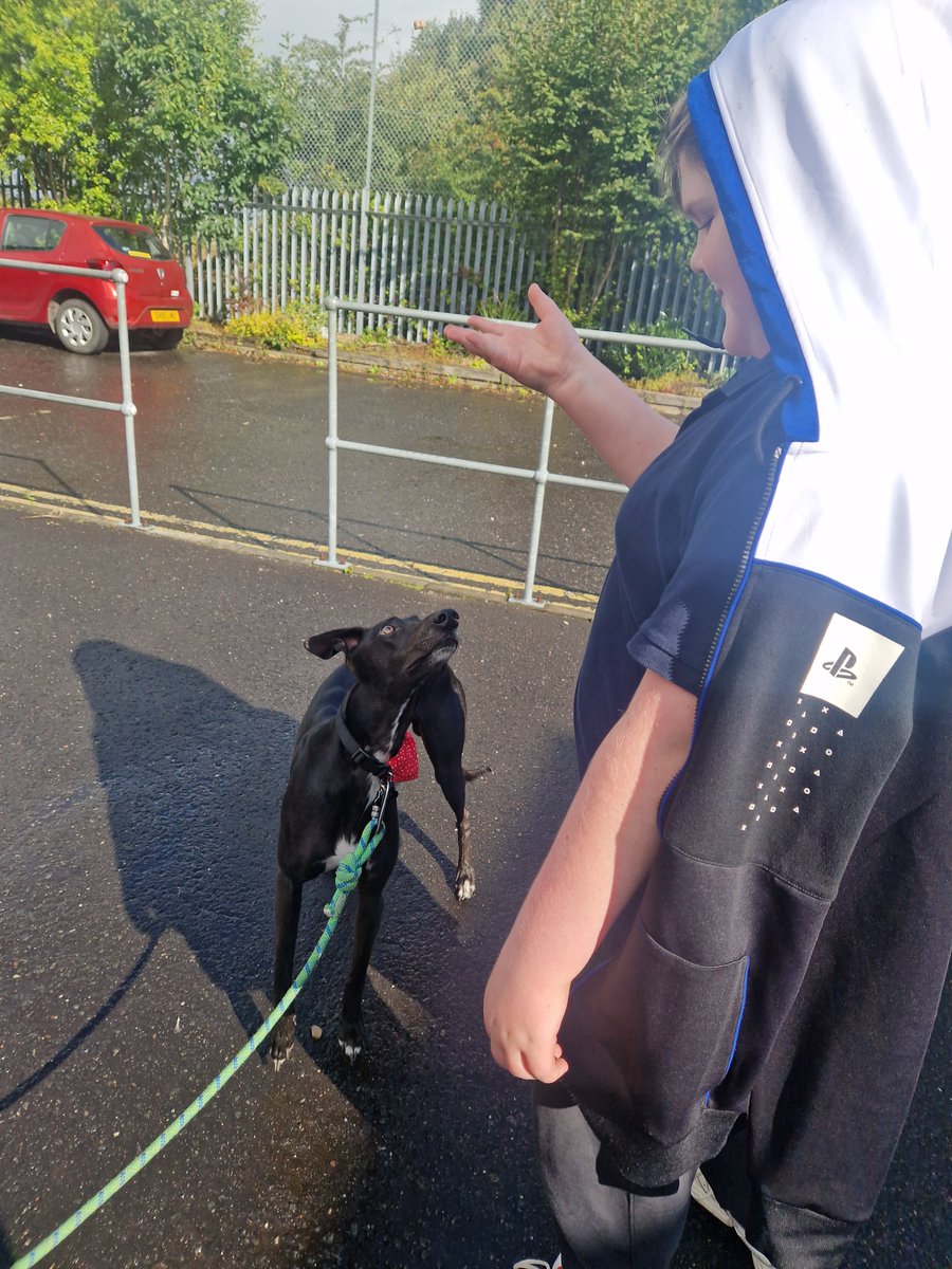 jacquibfraser's tweet photo. @IWBSFalkirk
Busy week for this pupil in class 3. Completing an animal research task in class in addition to continuing outdoor activities.
#watchusgrow #iwbs #class3 https://t.co/TphekeMLQ8