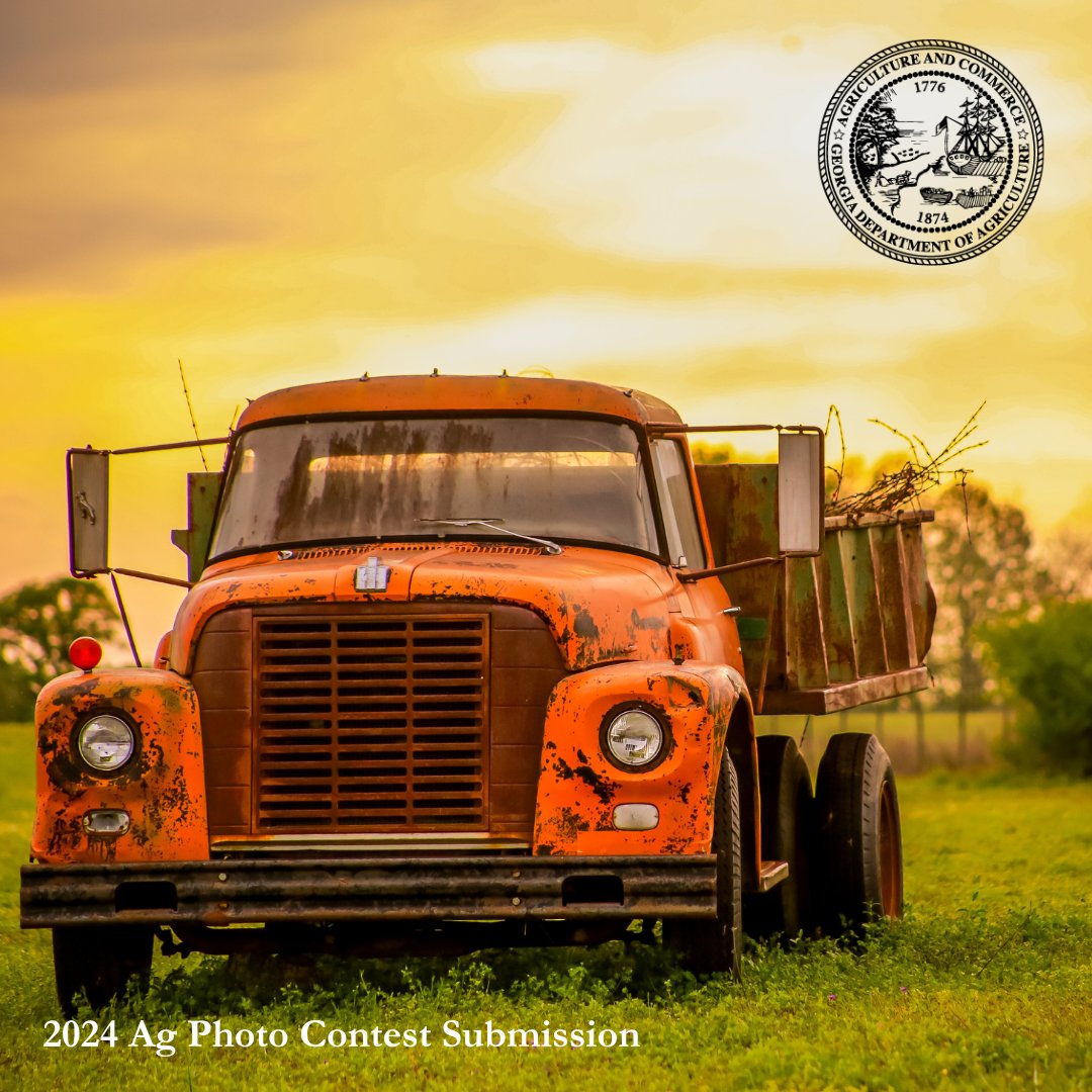 GaDeptAg's tweet photo. #Georgia’s #agriculture drives our economy, supporting countless jobs and local businesses. From vibrant crops to diverse livestock, our farmers keep the state thriving. Let’s celebrate and support Georgia’s #1 industry! #GDA150 https://t.co/jyQOqryX2a