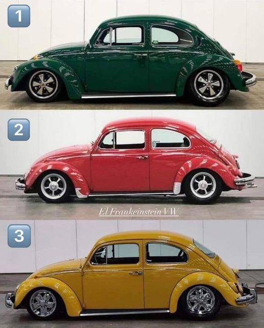 Qual a cor mais bonita?