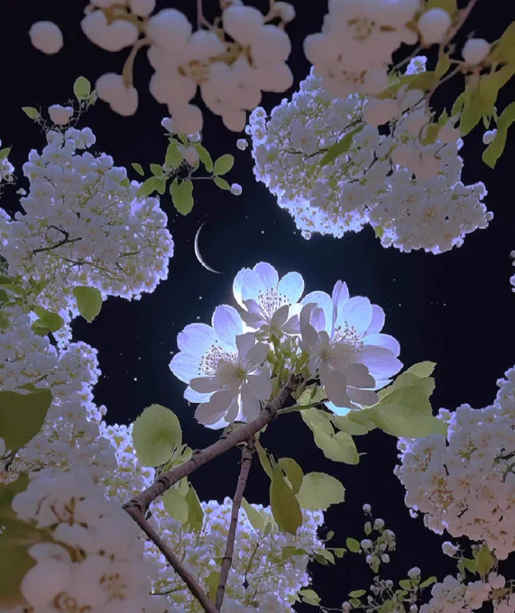 artindetails's tweet photo. — the moon peeking through https://t.co/SBALEHdSO1