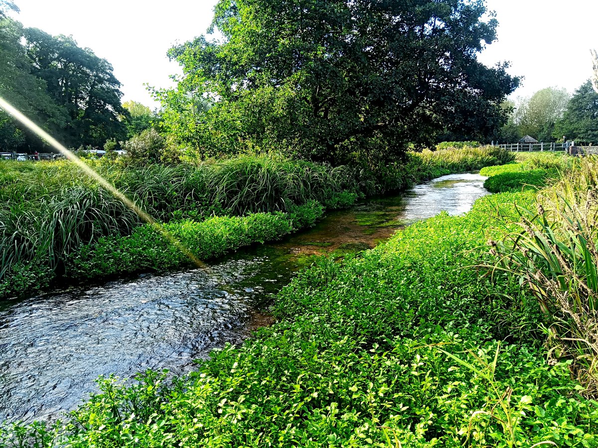 this_damselfly's tweet photo. Views from the environmental sector submitted to @Ofwat’s consultation on water company Business Plans this week. 
https://t.co/XHaCIT3LuT
TLDR? Making punishing cuts may short-change the environment, not penalise companies. Customers expect better. (1/4) https://t.co/9u7aNGRriz