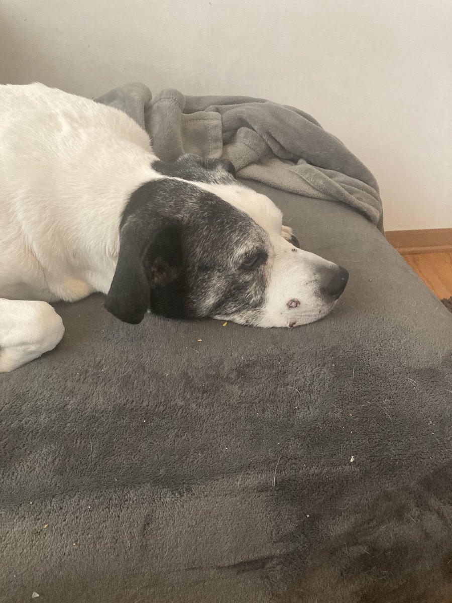 JimiRocks tweet media