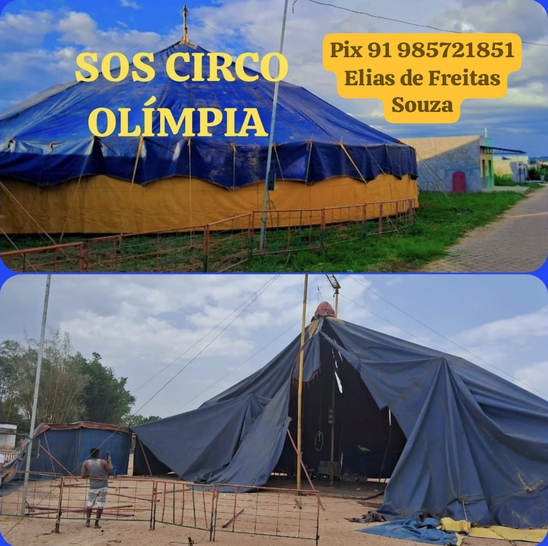 Conheçam o Circo Olímpia.

Esse pequeno circo já rodou todo o Norte do país levando riso aos locais mais distantes.

Amazonas, Acre, Amapá e quase toda a Ilha do Marajó. Onde houvesse uma criança querendo sonhar, o Elias e sua trupe estavam.

Mas agora eles precisam de ajuda.