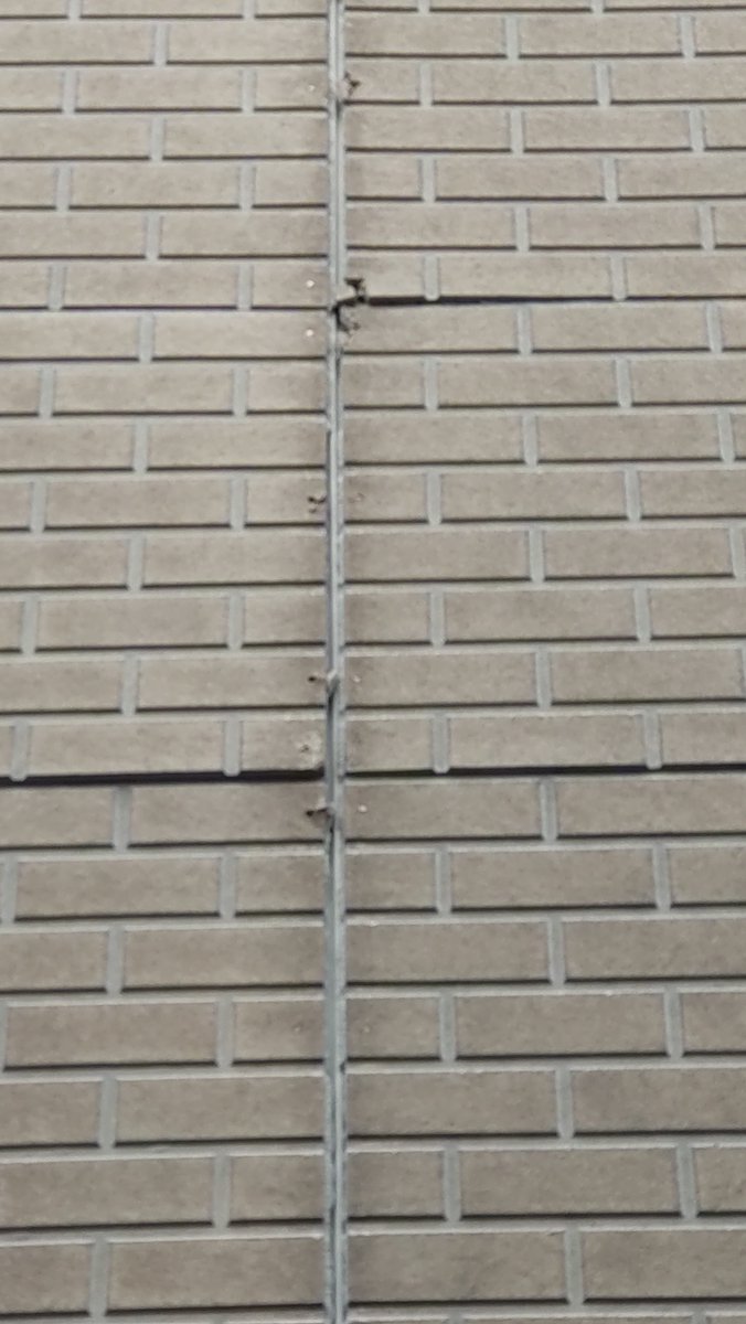 moritosou1's tweet image. 外壁もかなり傷んでいますが、現時点で特別問題なければ少し時間をかけて検討しましょう。早いうちに補修や塗装は必要ですが、的確で最善のプランを出す業者を選びましょう。何が必要で何が不必要か。どのような選択肢があるか。アドバイスと診断の「引き出し」の多い業者を見極めることは重要です。