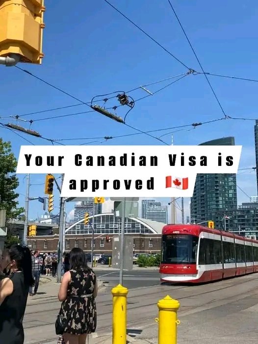 DHellicet's tweet image. Love Canada 🥰🥰
.
.
.
.
.
.
.
.
.
.
.
@canada @usa @toronto @ontario @australia @uk @love @photography @vancouver @nature @london @india @montreal @germany @newyork @travel @alberta @instagram @quebec @instagood @fashion @america @france @california @punjabi @canad