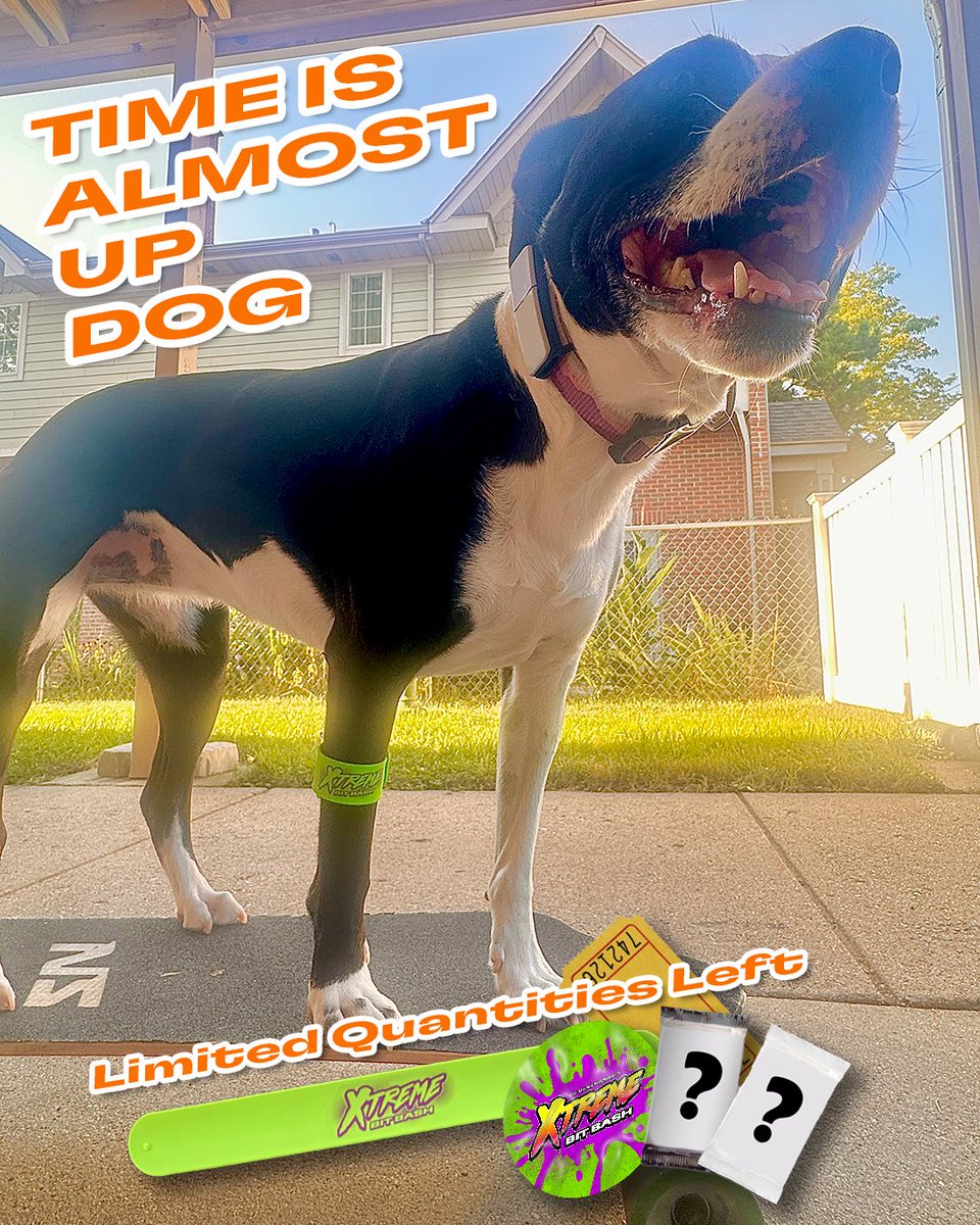 WE'RE ALMOST OUT OF BOOSTER PACKS! Get your XTREME Bit Bash ticket with Booster Pack NOW to get an XTREME Bit Bash slap bracelet, stickers, a Loot Drop raffle ticket, and MORE SURPRISES!

bitbashchicago.com/#tickets