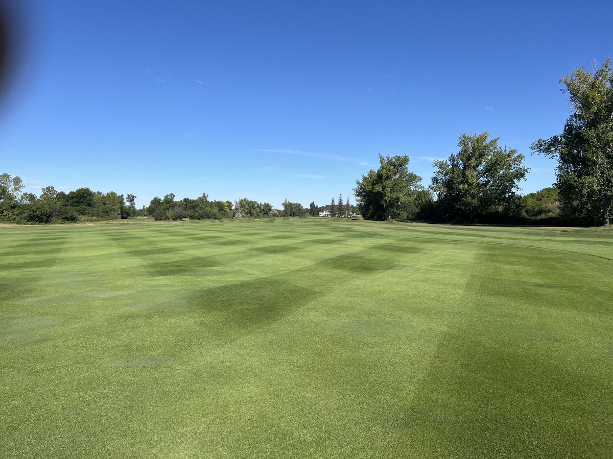 Bobbie Currie MS. tweet media