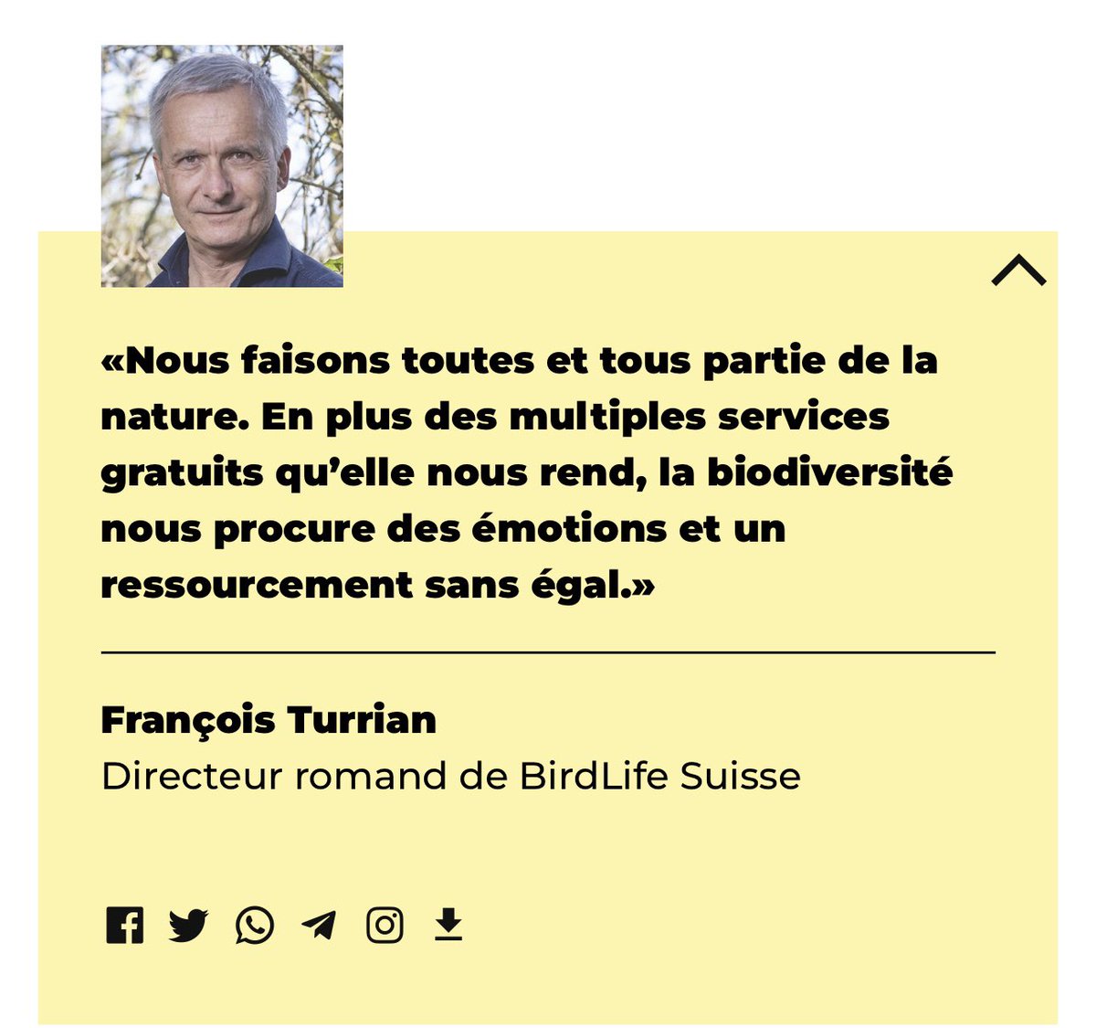 Philippe Lörtscher tweet media