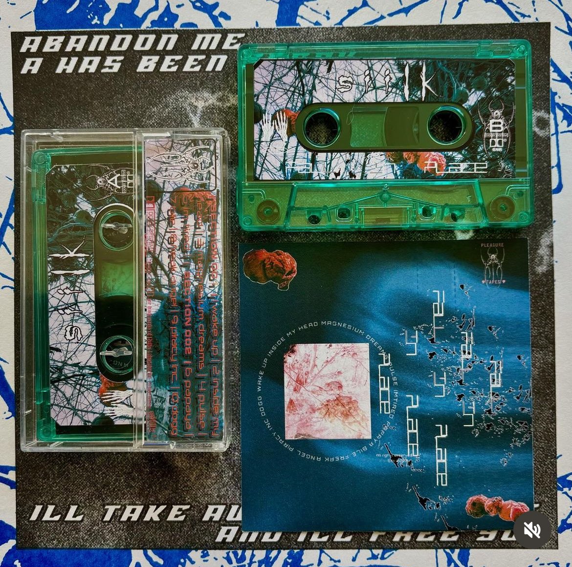 Fall in Place tapes now available on the webstore courtesy of pleasure_tapes on IG 

pleasuretapes.myshopify.com/?fbclid=PAZXh0…