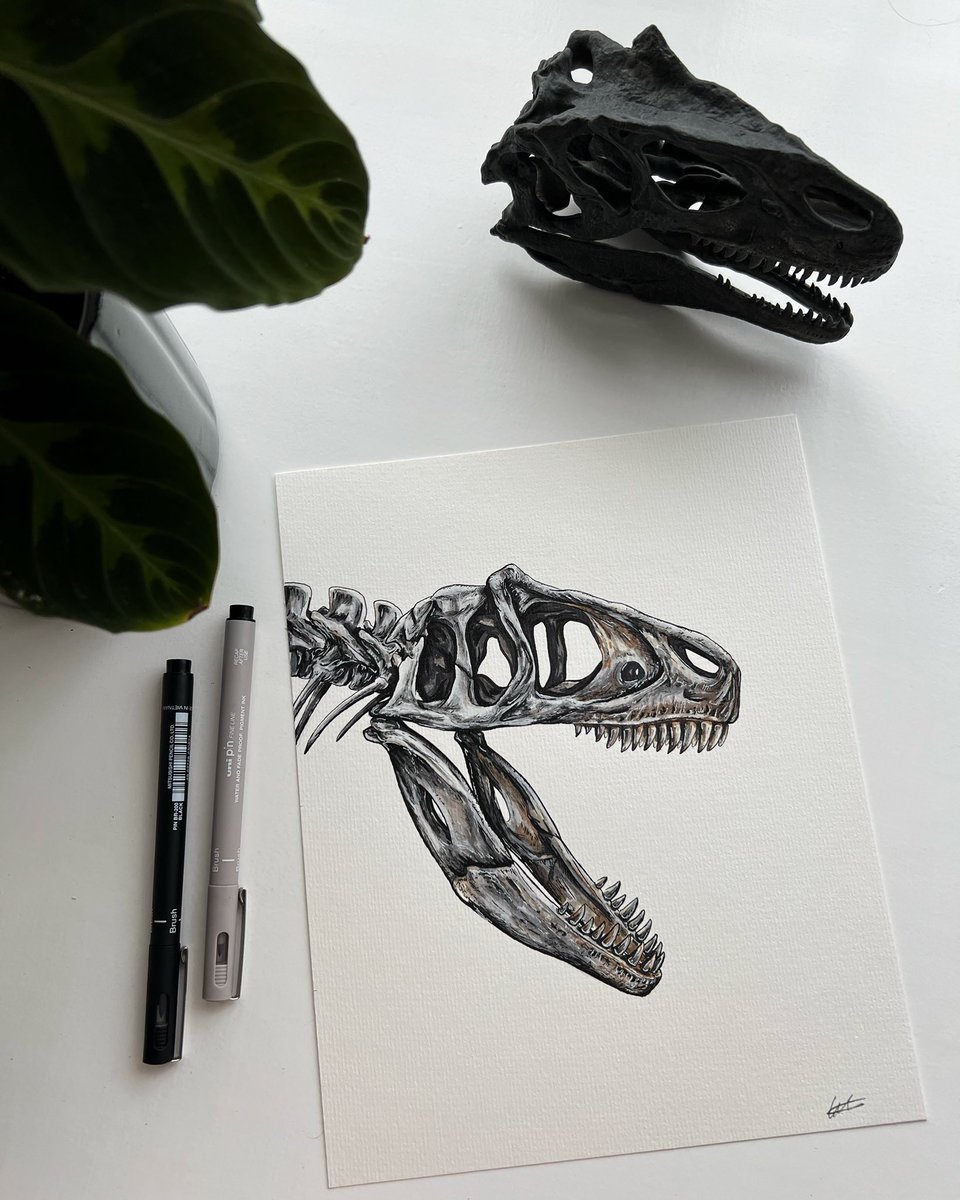 Grace Varnham tweet media