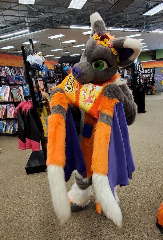 Nom nom snacks 

Did I do it right? 

#batfursuit #spirithalloween