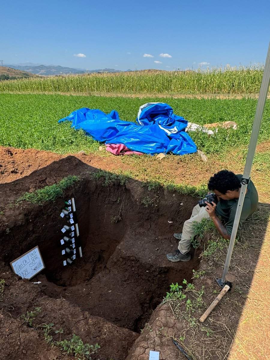 Micromorphology &amp; OSL sampling 👏😍🔬 

#korca #neolithic #project #albania #international #excavation #science #micromorphology #osl