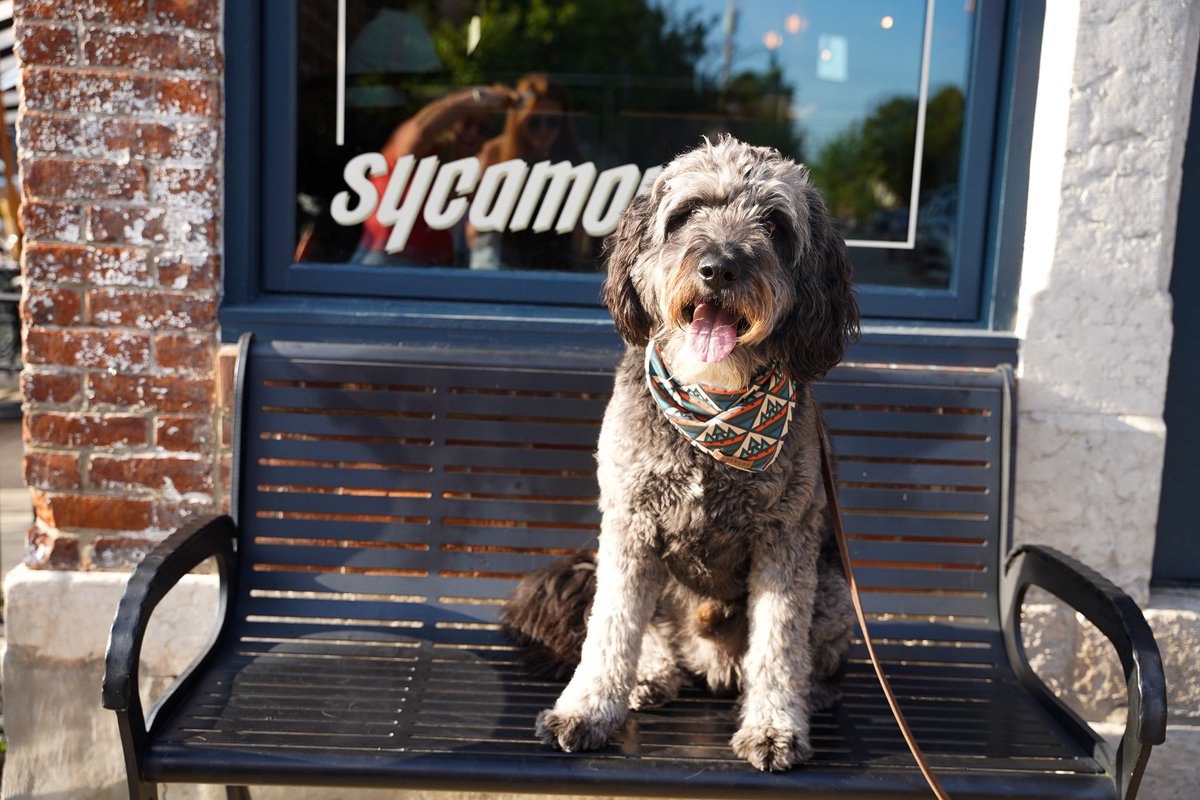 Nathan Parisi, MD tweet media