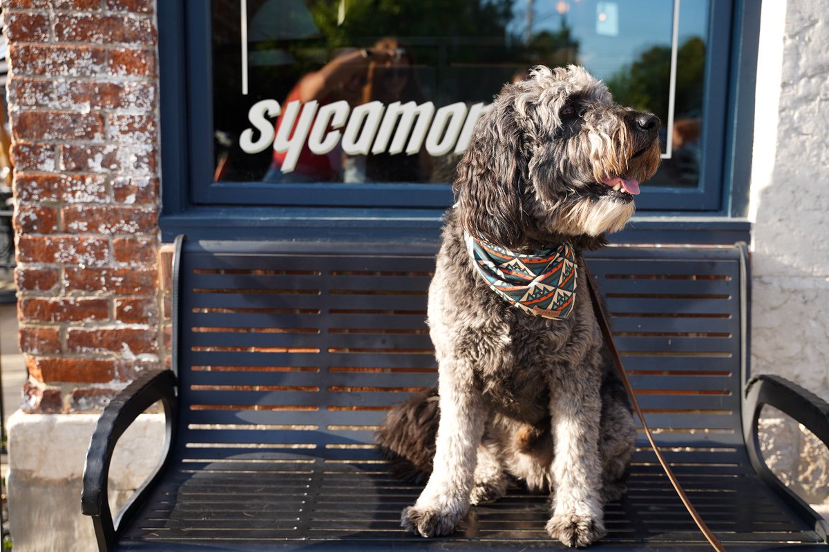 Nathan Parisi, MD tweet media