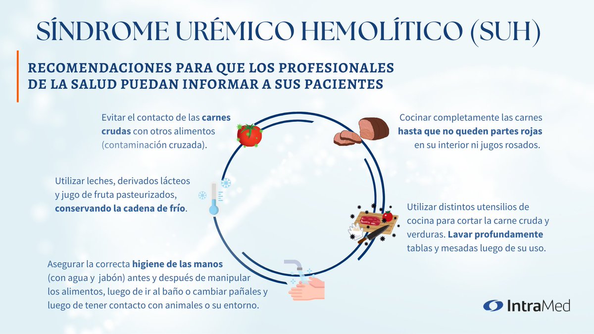 IntraMedNet's tweet image. El Síndrome Urémico Hemolítico #SUH afecta principalmente a los niños e involucra una combinación de anemia hemolítica, trombocitopenia y daño renal.

Para acceder a la lista de recomendaciones completa, visite la nota en #IntraMed: 

🔗intramed.net/content/66be48…