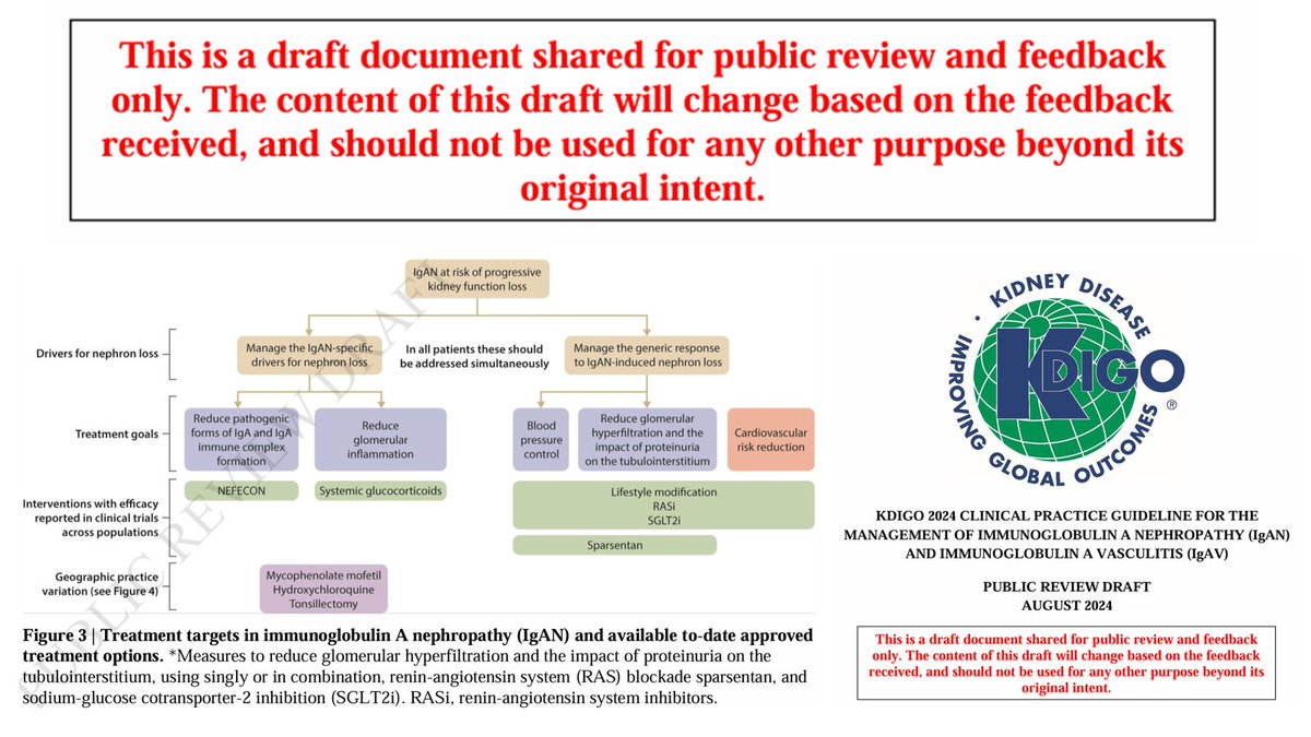 Edgar V. Lerma π΅π (@edgarvlermamd) on Twitter photo The Clinical Practice Guideline for the Management of IgA Nephropathy (IgAN) and IgA Vasculitis (IgAV) from <a href="/goKDIGO/">KDIGO</a> is out for public review βΌοΈ 
#KDIGOIgAN #Nephpearls 
π Submit comments by Sept 30 ποΈ
π kdigo.org/guidelines/igaβ¦ The Clinical Practice Guideline for the Management of IgA Nephropathy (IgAN) and IgA Vasculitis (IgAV) from <a href="/goKDIGO/">KDIGO</a> is out for public review βΌοΈ 
#KDIGOIgAN #Nephpearls 
π Submit comments by Sept 30 ποΈ
π kdigo.org/guidelines/igaβ¦