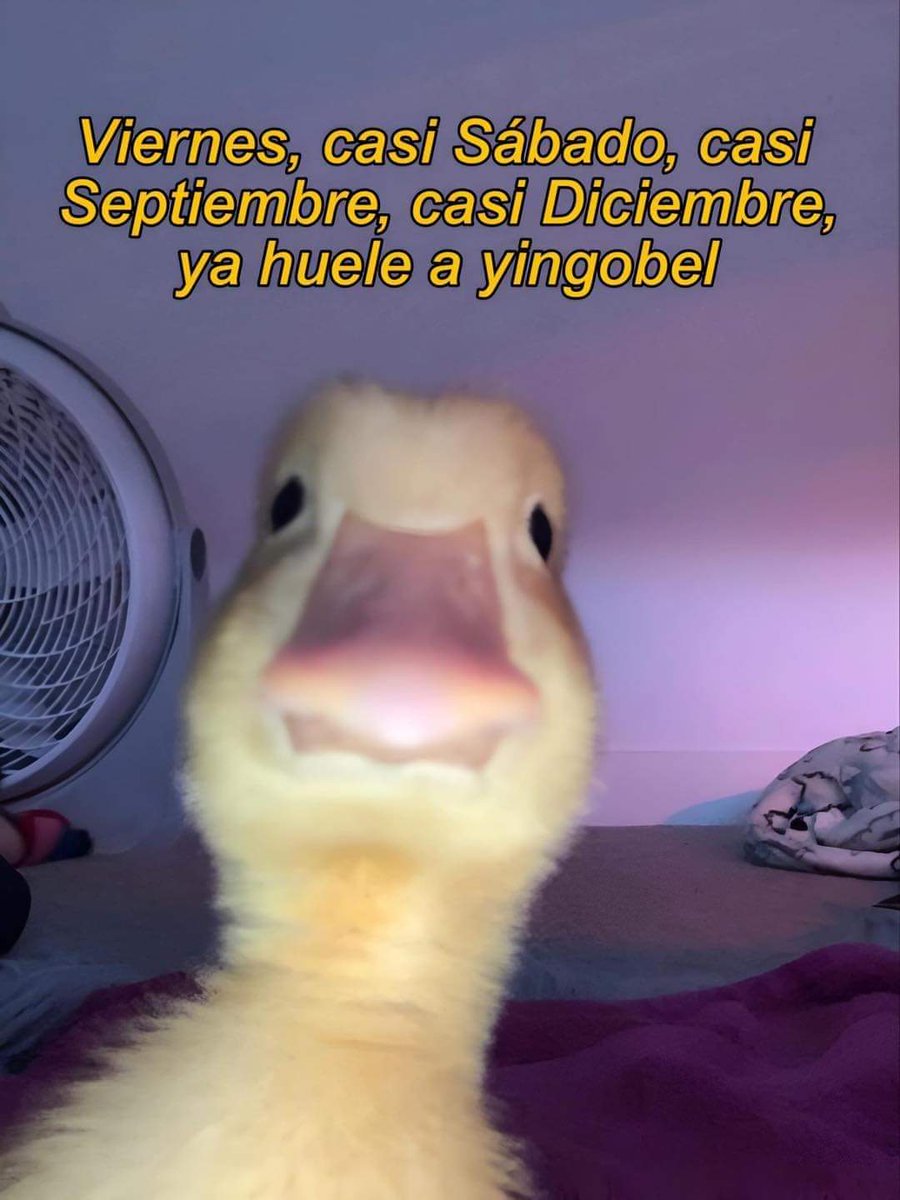 nacional_memes's tweet photo. https://t.co/jxU6hrNeHB