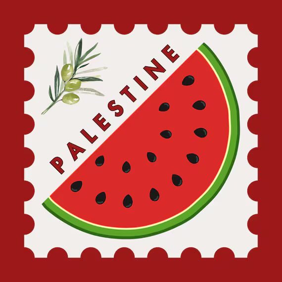 If you are a pro Palestine account, raise your 🖐️ so I can follow you.
