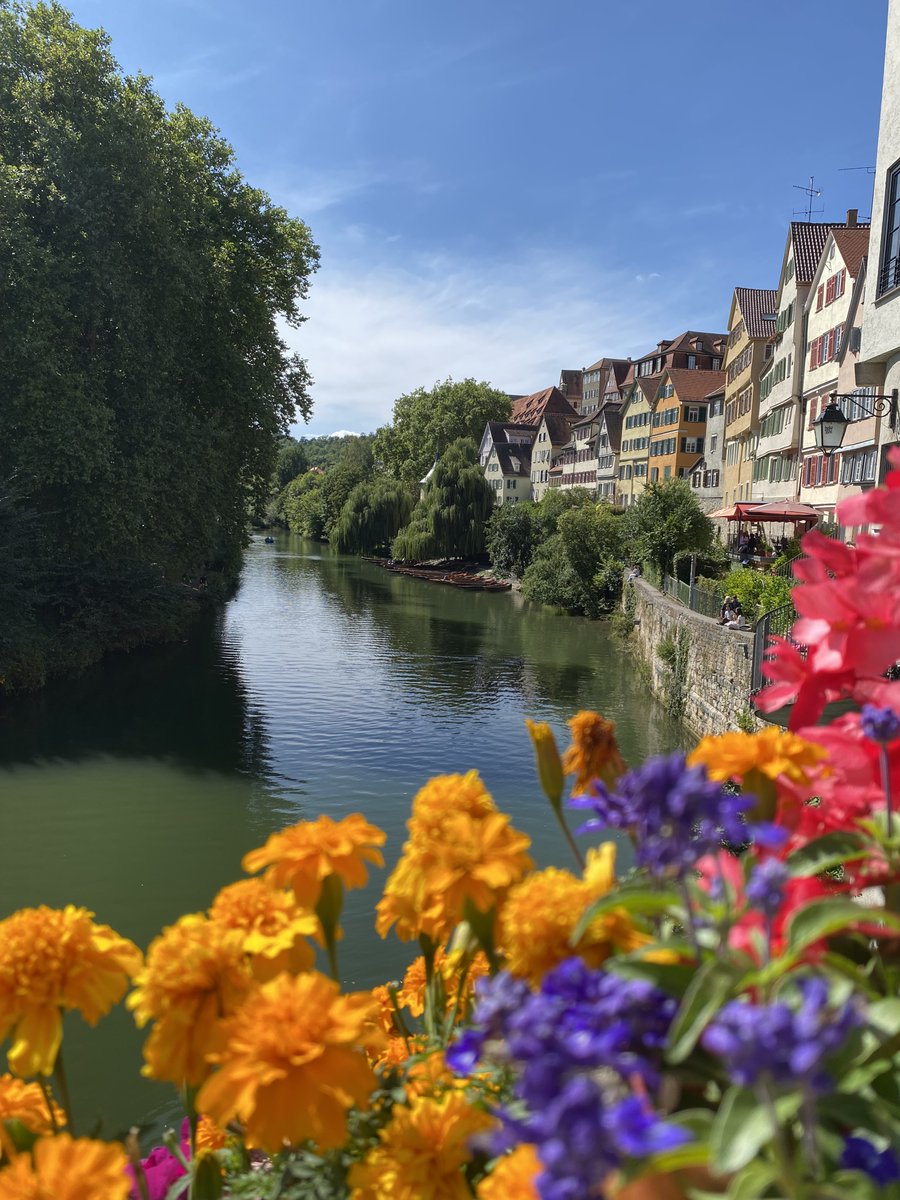 Julia Chatain tweet media