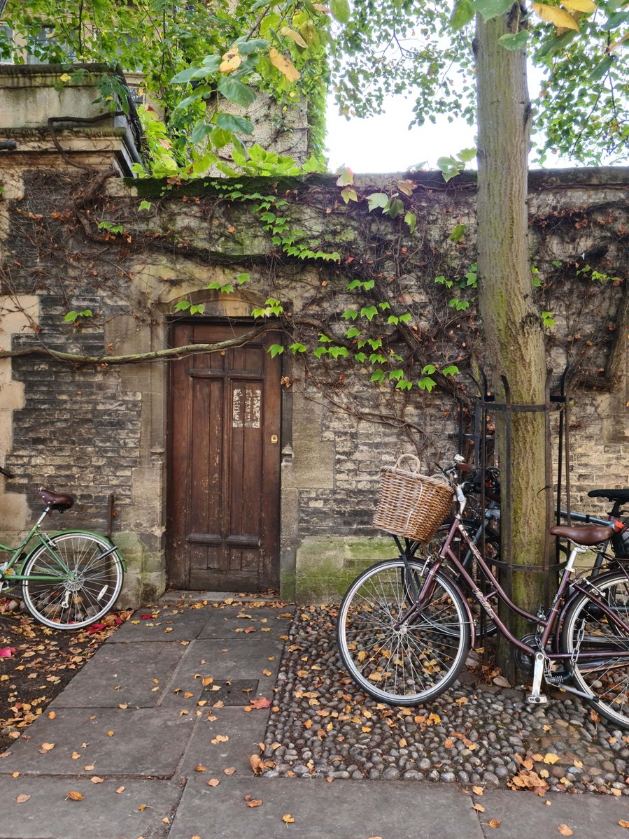 Summer may be coming to an end but there is still lots to look forward to in September and Autumn! 🍂 

What is your favourite thing about Autumn in Cambridge? 

#cambridge #visitcambridge #autumntime #lovecambridge #autumnvibes